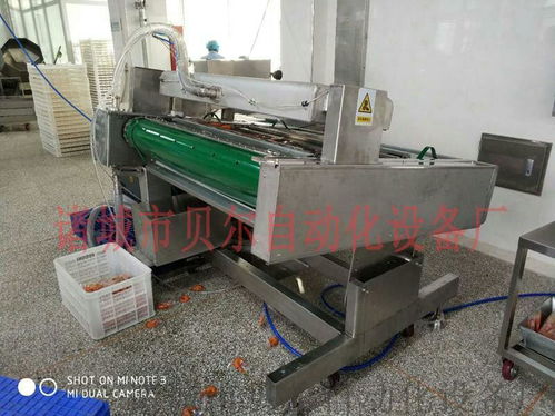 山東貝爾廠家直銷 休閑食品真空包裝機械的卓越選擇